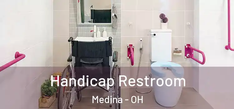  Handicap Restroom Medina - OH